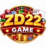 ZD22 game